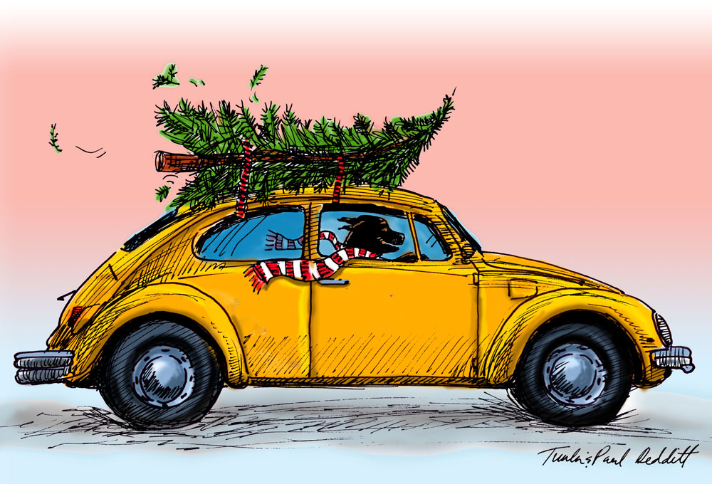 Caricature Illustration