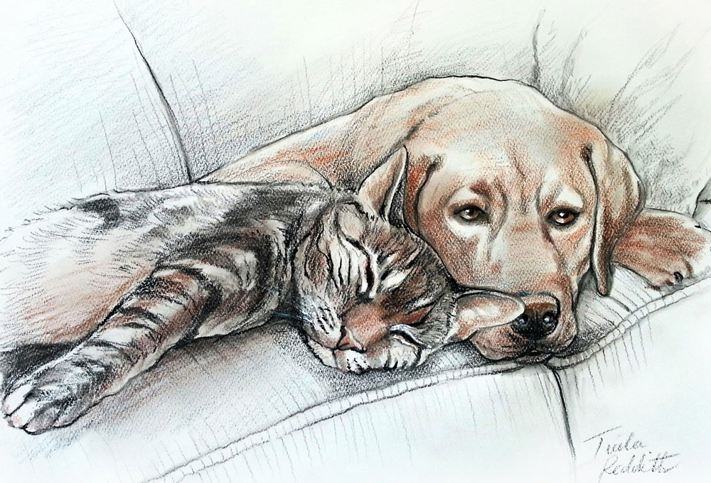 Mixed Media Illustration